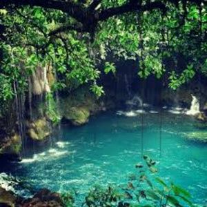 Meet your Posher, Rodriguez